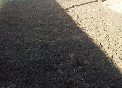 tt.jpg (366.43 KiB) Osservato 814 volte tt.jpg