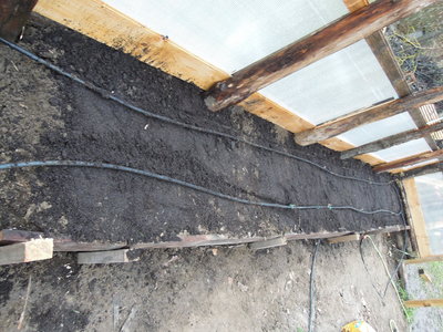 stirrigazione.JPG (2.22 MiB) Osservato 1920 volte stirrigazione.JPG