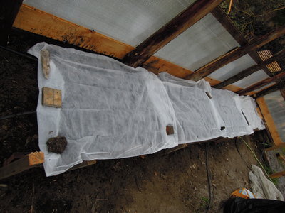 TNT.JPG (2.26 MiB) Osservato 1920 volte TNT.JPG