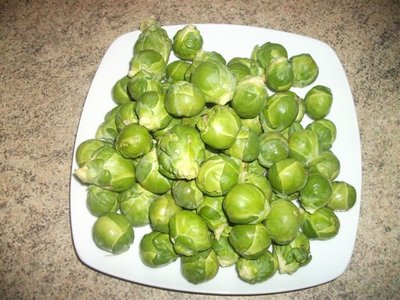 cavolini.JPG (75.76 KiB) Osservato 827 volte cavolini.JPG