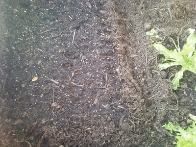 06022013006.jpg (281.78 KiB) Osservato 899 volte 06022013006.jpg