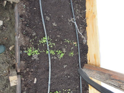 1DSCN3534.JPG (2.09 MiB) Osservato 864 volte 1DSCN3534.JPG