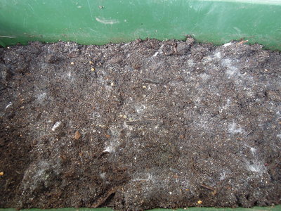 3DSCN3543.JPG (2.17 MiB) Osservato 863 volte 3DSCN3543.JPG