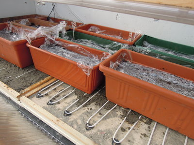 4DSCN3548.JPG (2.22 MiB) Osservato 863 volte 4DSCN3548.JPG