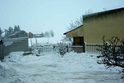 neve di marzo.jpg (48.49 KiB) Osservato 1324 volte neve di marzo.jpg