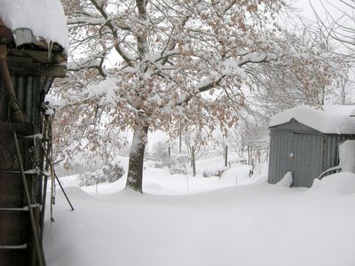 neveorto10mar2010.JPG (162.73 KiB) Osservato 1319 volte neveorto10mar2010.JPG