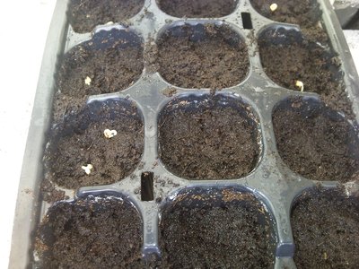 09032013.jpg (391.61 KiB) Osservato 904 volte 09032013.jpg