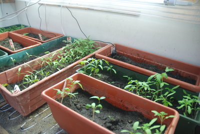 DSC_0011.JPG (278.7 KiB) Osservato 1052 volte DSC_0011.JPG