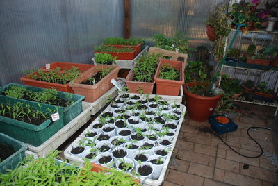 DSC_0009.JPG (327.46 KiB) Osservato 1052 volte DSC_0009.JPG