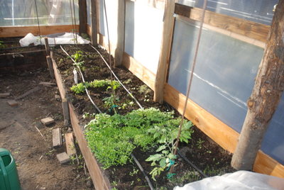 DSC_0004.JPG (304.67 KiB) Osservato 1052 volte DSC_0004.JPG