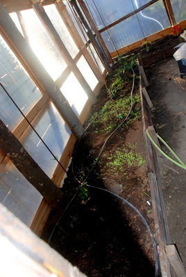 DSC_0007.JPG (306.63 KiB) Osservato 1052 volte DSC_0007.JPG