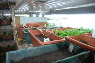 DSC_0034.JPG (170.65 KiB) Osservato 746 volte DSC_0034.JPG