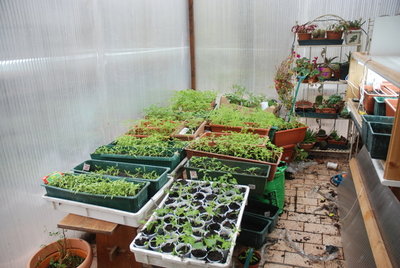 DSC_0035.JPG (214.45 KiB) Osservato 746 volte DSC_0035.JPG