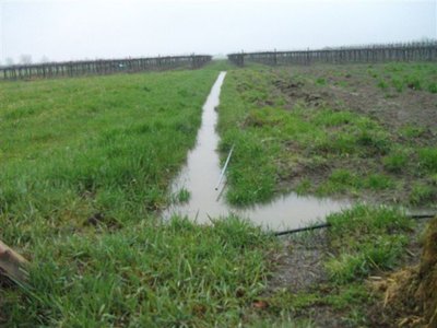 orto galleggianteJPG.JPG (55.33 KiB) Osservato 618 volte orto galleggianteJPG.JPG