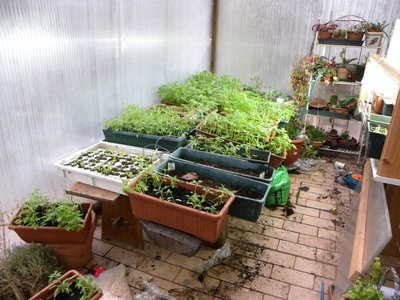 DSCN0070.JPG (181.49 KiB) Osservato 776 volte DSCN0070.JPG