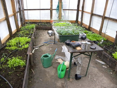 DSCN0097.JPG (184.96 KiB) Osservato 776 volte DSCN0097.JPG