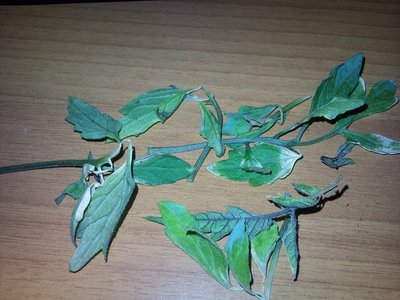 24042013.jpg (324.63 KiB) Osservato 833 volte 24042013.jpg