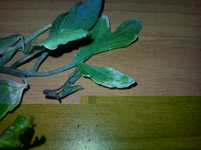 24042013001.jpg (314.05 KiB) Osservato 833 volte 24042013001.jpg