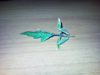 24042013003.jpg (240.56 KiB) Osservato 833 volte 24042013003.jpg