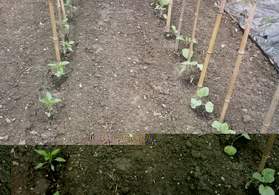 21042013.jpg (398.25 KiB) Osservato 833 volte 21042013.jpg