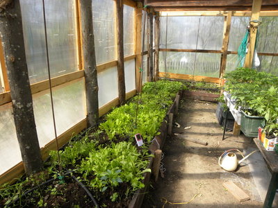 DSCN2607.JPG (163.21 KiB) Osservato 957 volte DSCN2607.JPG