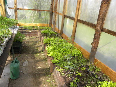 DSCN2608.JPG (154.01 KiB) Osservato 957 volte DSCN2608.JPG