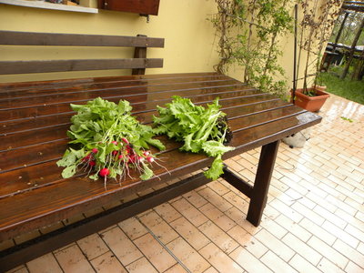 DSCN2671.JPG (189.4 KiB) Osservato 957 volte DSCN2671.JPG