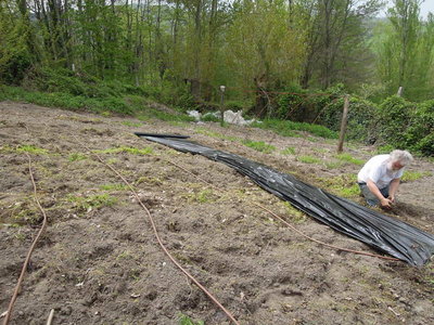 1DSCN3684.JPG (107.75 KiB) Osservato 957 volte 1DSCN3684.JPG