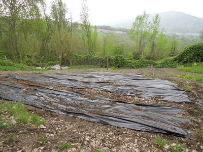 2DSCN3690.JPG (135.41 KiB) Osservato 957 volte 2DSCN3690.JPG