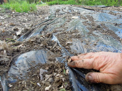 3DSCN3716.JPG (165.8 KiB) Osservato 957 volte 3DSCN3716.JPG