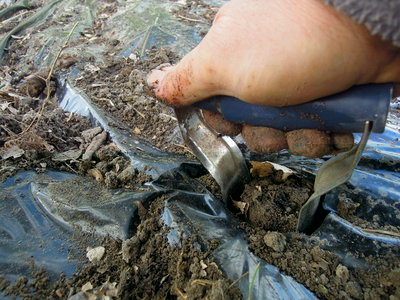 4DSCN3717.JPG (150.54 KiB) Osservato 957 volte 4DSCN3717.JPG