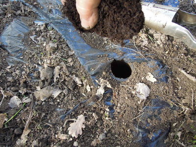 5DSCN3713.JPG (131.02 KiB) Osservato 957 volte 5DSCN3713.JPG