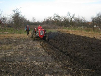 Aratura con un super Massey Ferguson 35 / 405065_442478682481731_70020511_n_800x600.jpg 405065_442478682481731_70020511_n_800x600.jpg