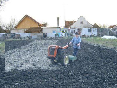 non avendo il disco per il trattore ci accontentiamo... / 734534_495431573853108_983201329_n_800x600.jpg 734534_495431573853108_983201329_n_800x600.jpg