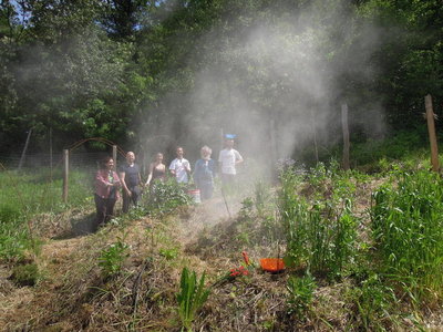 DSCN3930-001.JPG (123.11 KiB) Osservato 715 volte DSCN3930-001.JPG