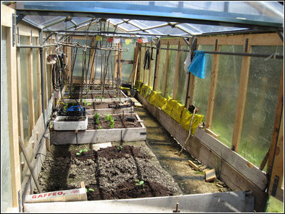 serra.jpg (193.34 KiB) Osservato 4073 volte serra.jpg