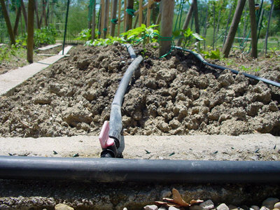 Impianto irrigazione-1.jpg (180.13 KiB) Osservato 1095 volte Impianto irrigazione-1.jpg