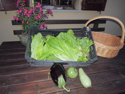 12raccolto.JPG (169.52 KiB) Osservato 793 volte 12raccolto.JPG