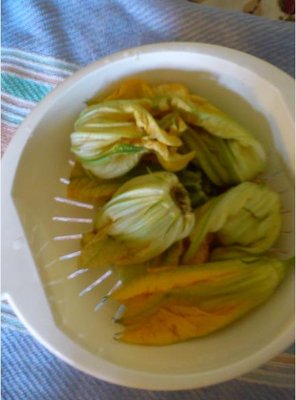 zucchini1.jpg (29 KiB) Osservato 736 volte zucchini1.jpg