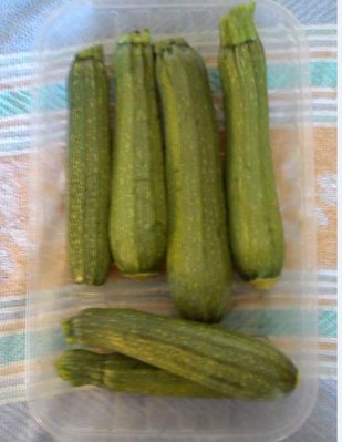 zucchini2.jpg (29.45 KiB) Osservato 736 volte zucchini2.jpg