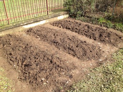 Inizio lavori a fine inverno. / IMG_0602.jpeg IMG_0602.jpeg