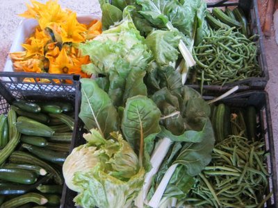 IMG_2827_800x600.jpg (103.26 KiB) Osservato 844 volte IMG_2827_800x600.jpg