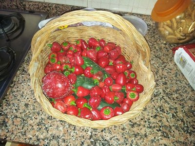 peperoncini.jpg (84.22 KiB) Osservato 1328 volte peperoncini.jpg