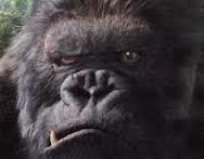 incazzato.jpg incazzato.jpg