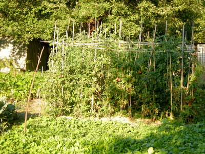 DSCN8455.JPG (332.34 KiB) Osservato 685 volte DSCN8455.JPG