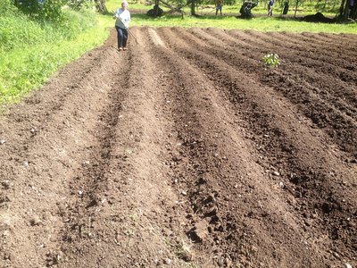 IMG_2450.JPG (387.92 KiB) Osservato 887 volte IMG_2450.JPG