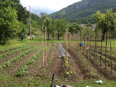 IMG_2692.JPG (277.36 KiB) Osservato 887 volte IMG_2692.JPG