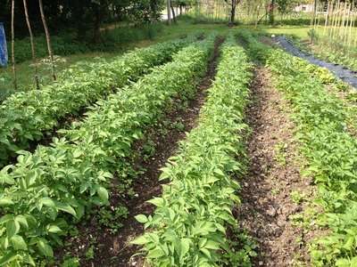 IMG_2761.JPG (373.32 KiB) Osservato 887 volte IMG_2761.JPG