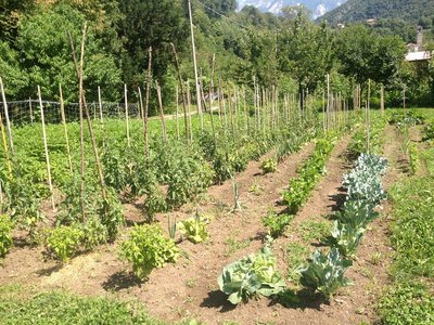 IMG_3134.JPG (379.36 KiB) Osservato 886 volte IMG_3134.JPG