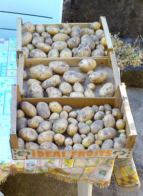 patate 1.jpg (73.47 KiB) Osservato 649 volte patate 1.jpg